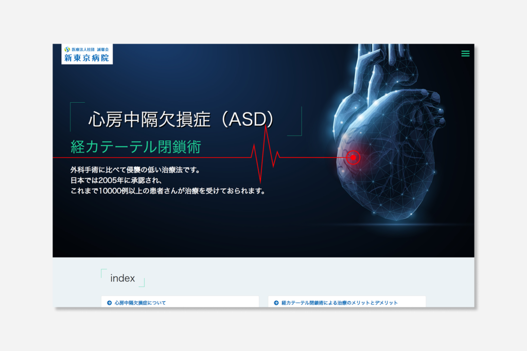 新東京病院_ADS経カテーテル閉鎖術LP